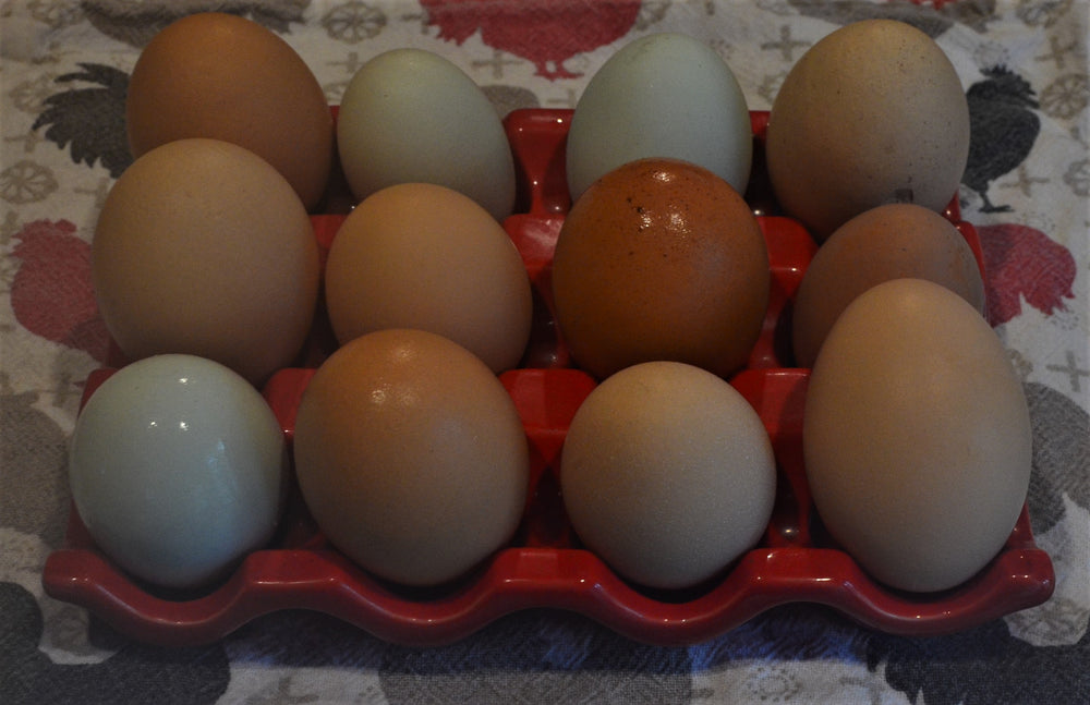 
                  
                    Chicken Eggs (1 dozen)
                  
                